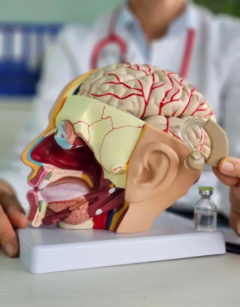 brain health and hearing