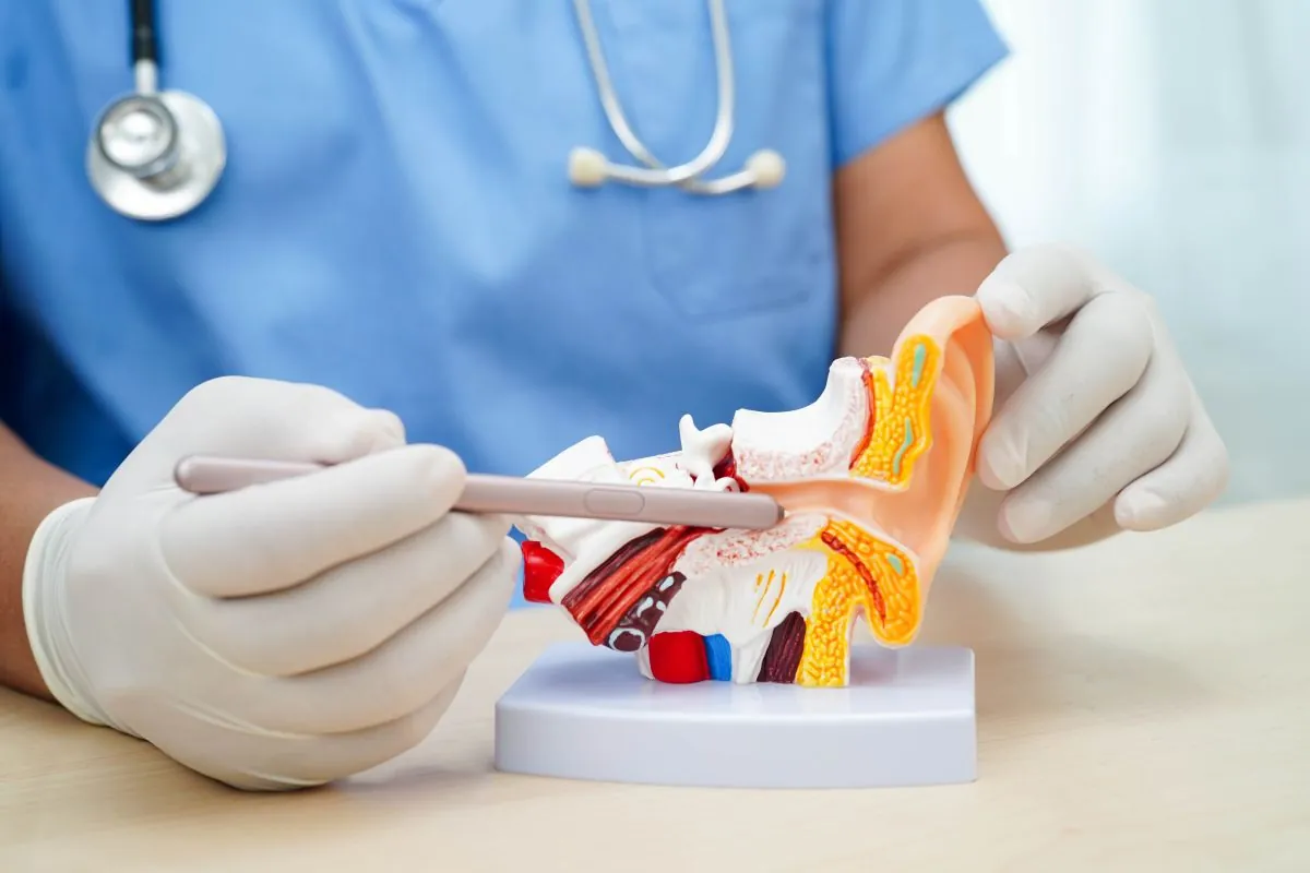 hearing loss explained